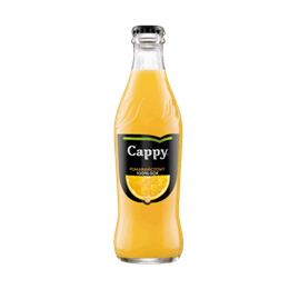 101. Cappy sok (szkło) 250ml 