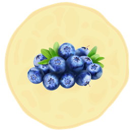 27. Borówki bez Polewy